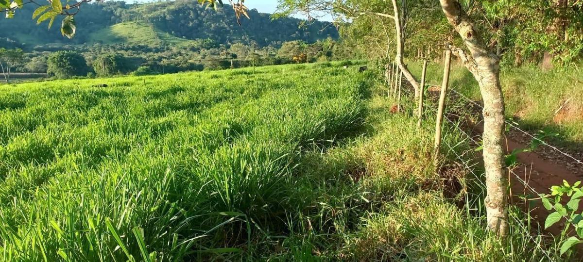 Fazenda, Centro, 4 Quartos, 2 Vagas