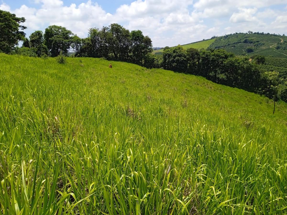 Fazenda, Zona Rural, 0 Quarto, 0 Vaga
