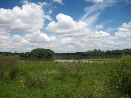 Lote, Pampulha, 0 Quarto, 0 Vaga