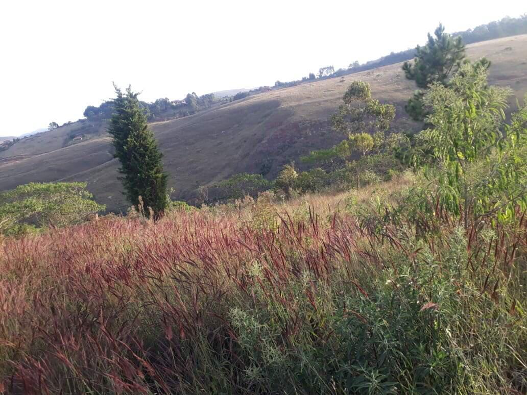 Lote, Vale dos Pinhais, 0 Quarto, 0 Vaga