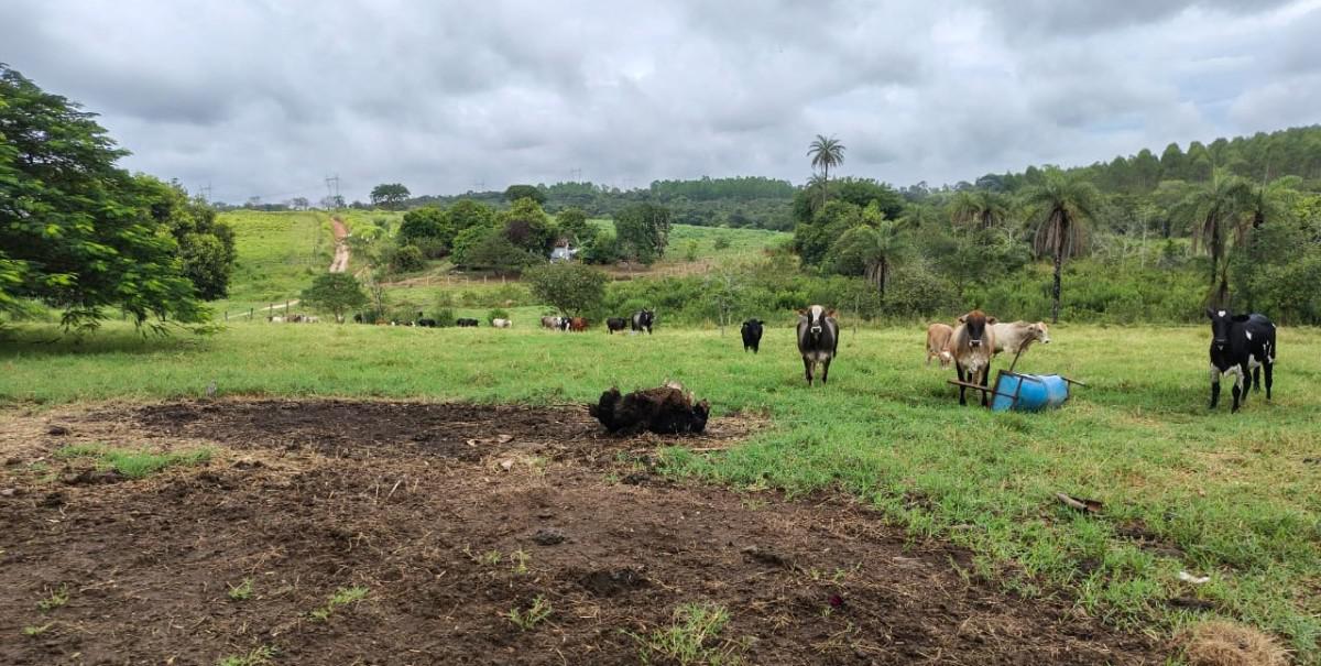 Fazenda, Zona Rural, 5 Quartos, 0 Vaga