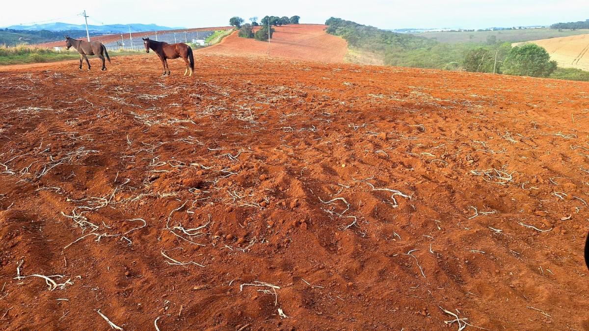 Fazenda, Zona Rural, 0 Quarto, 0 Vaga
