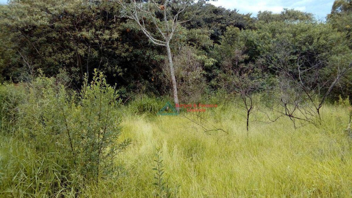 Lote, Zona Rural, 0 Quarto, 0 Vaga