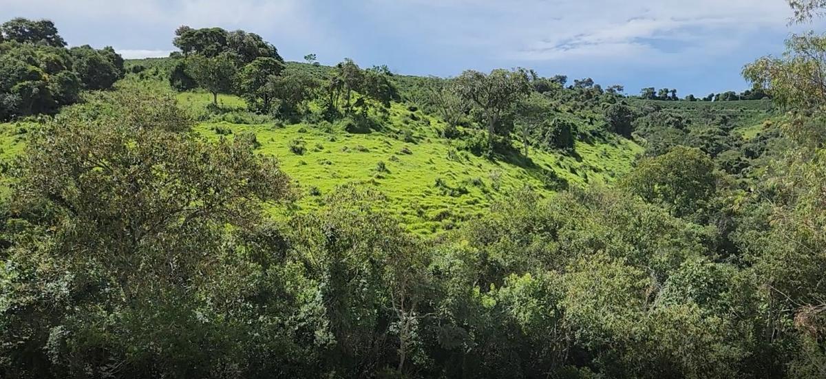 Fazenda, Zona Rural, 3 Quartos, 0 Vaga