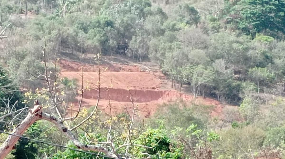 Fazenda, Zona Rural, 0 Quarto, 0 Vaga