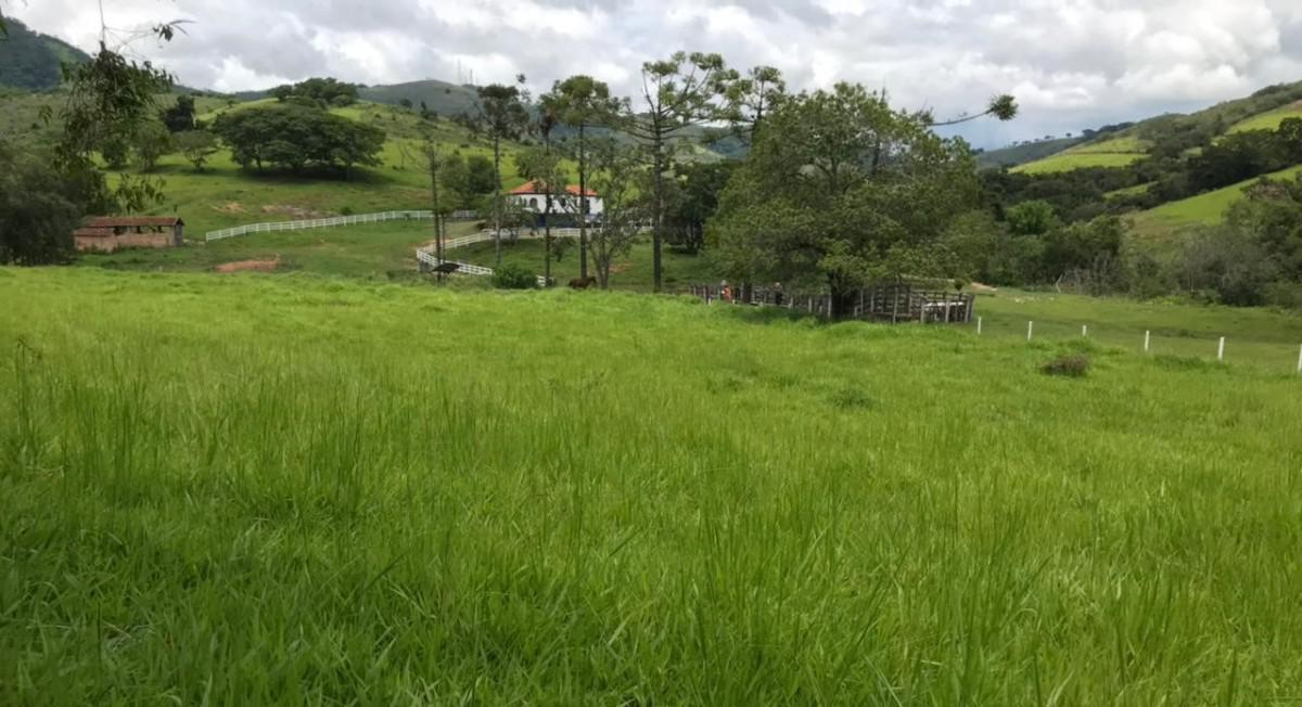 Fazenda, Zona Rural, 0 Quarto, 0 Vaga