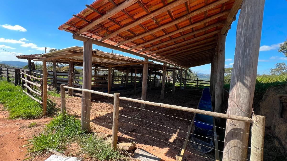 Fazenda, Centro, 0 Quarto, 0 Vaga