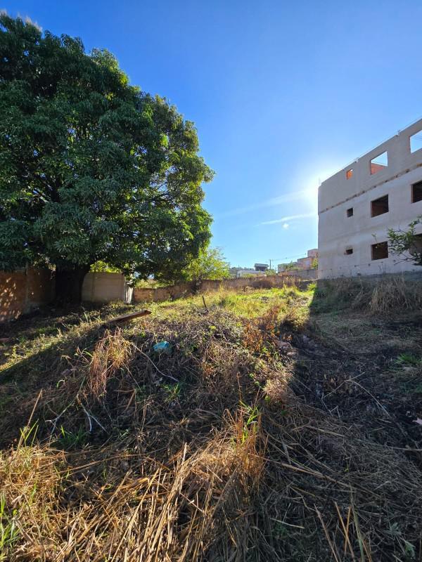 Lote, Verônica, 0 Quarto, 0 Vaga