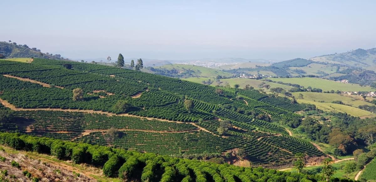 Fazenda, Zona Rural, 0 Quarto, 0 Vaga