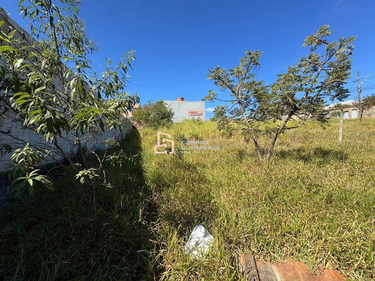 Lote, Jardim Canadá
