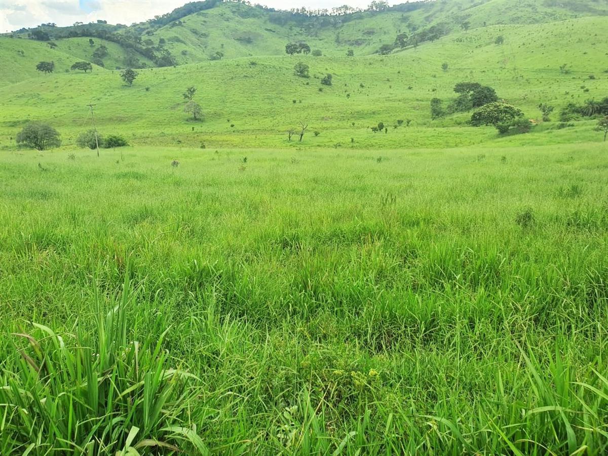 Fazenda, Centro, 3 Quartos, 0 Vaga