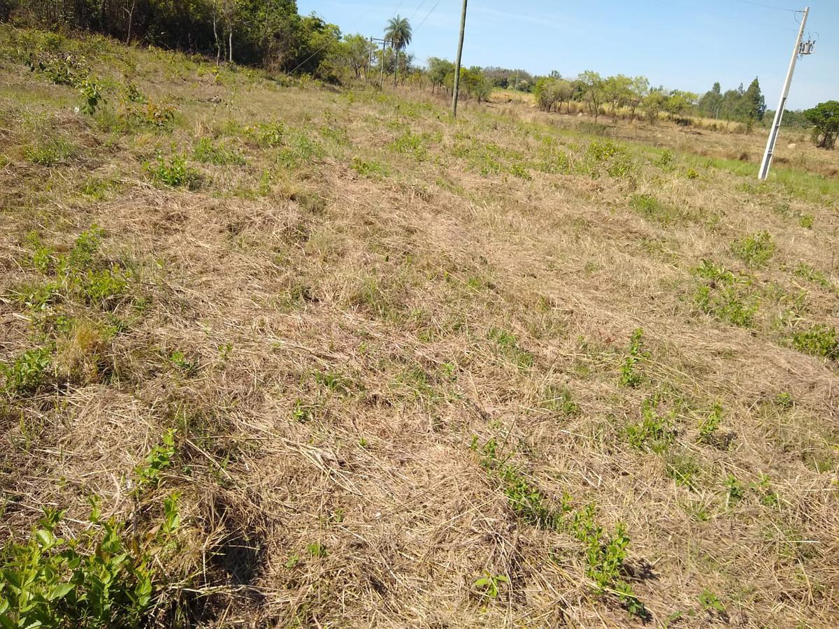 Lote, Zona Rural, 0 Quarto, 0 Vaga
