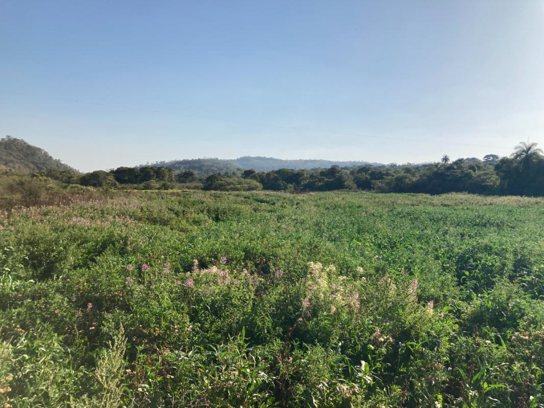 Lote, Santinho, 0 Quarto, 0 Vaga