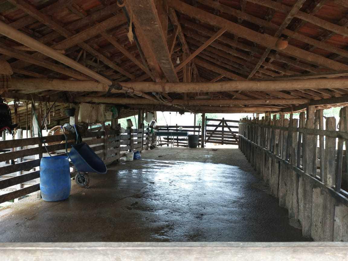 Fazenda, Zona Rural, 3 Quartos, 0 Vaga