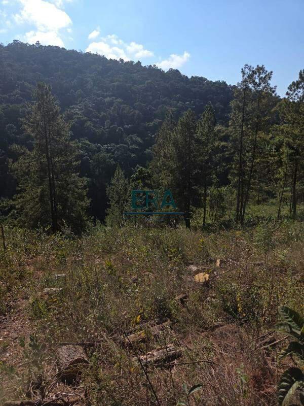 Lote, Village Sans Souci, 0 Quarto, 0 Vaga