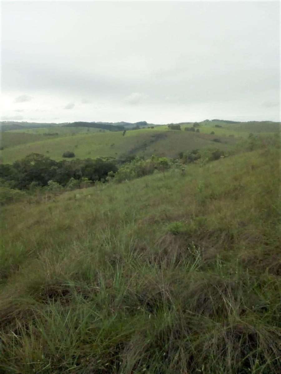 Fazenda, Centro, 2 Quartos, 1 Vaga