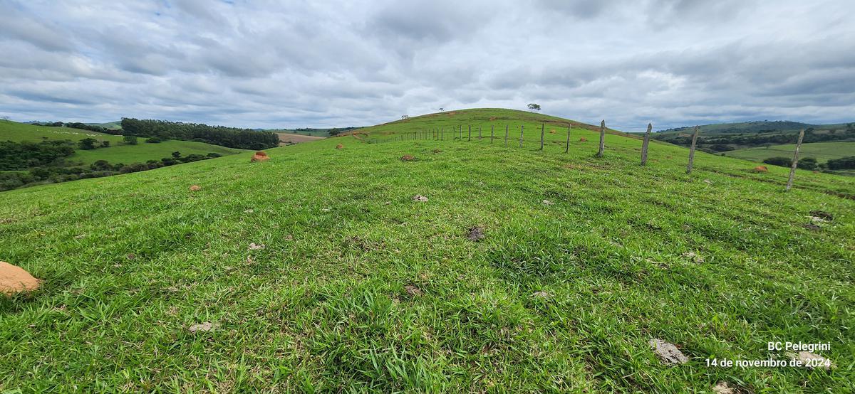 Fazenda, Centro, 3 Quartos, 0 Vaga