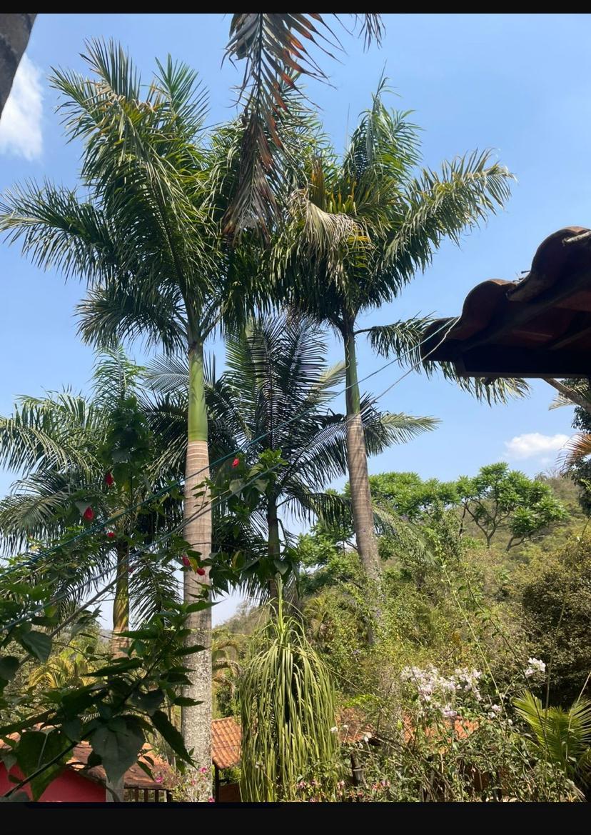 Fazenda, Centro, 4 Quartos, 10 Vagas