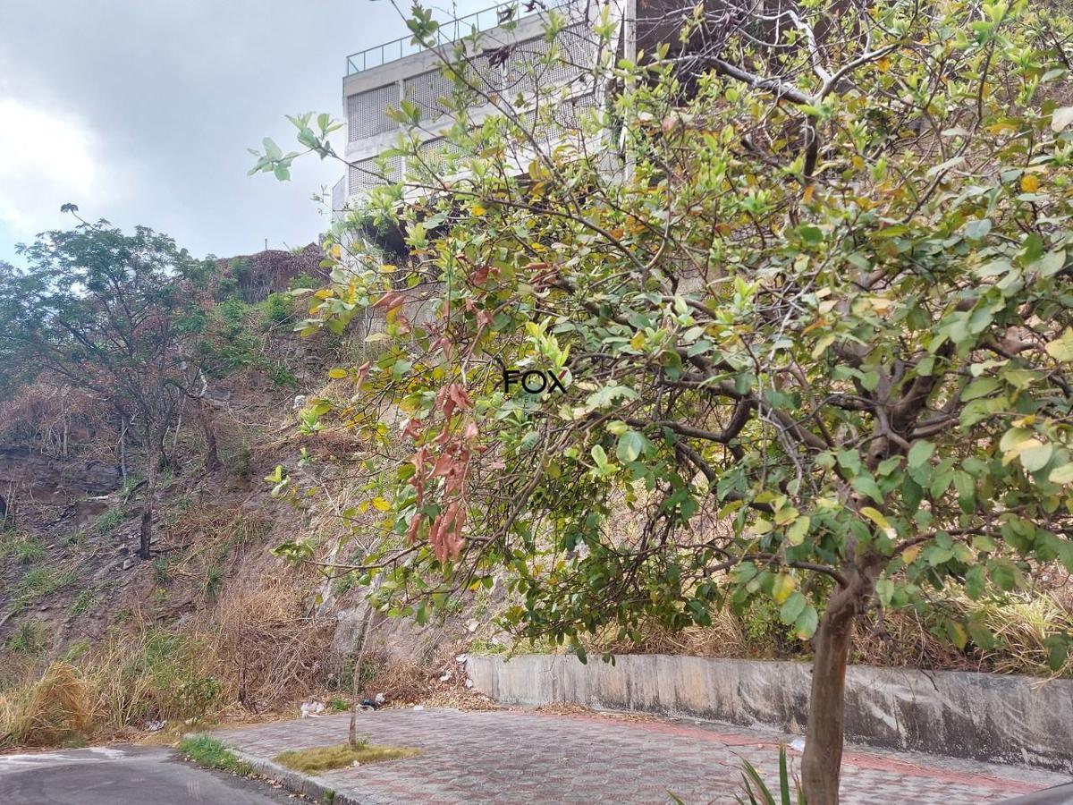 Lote, Santa Lúcia, 0 Quarto, 0 Vaga