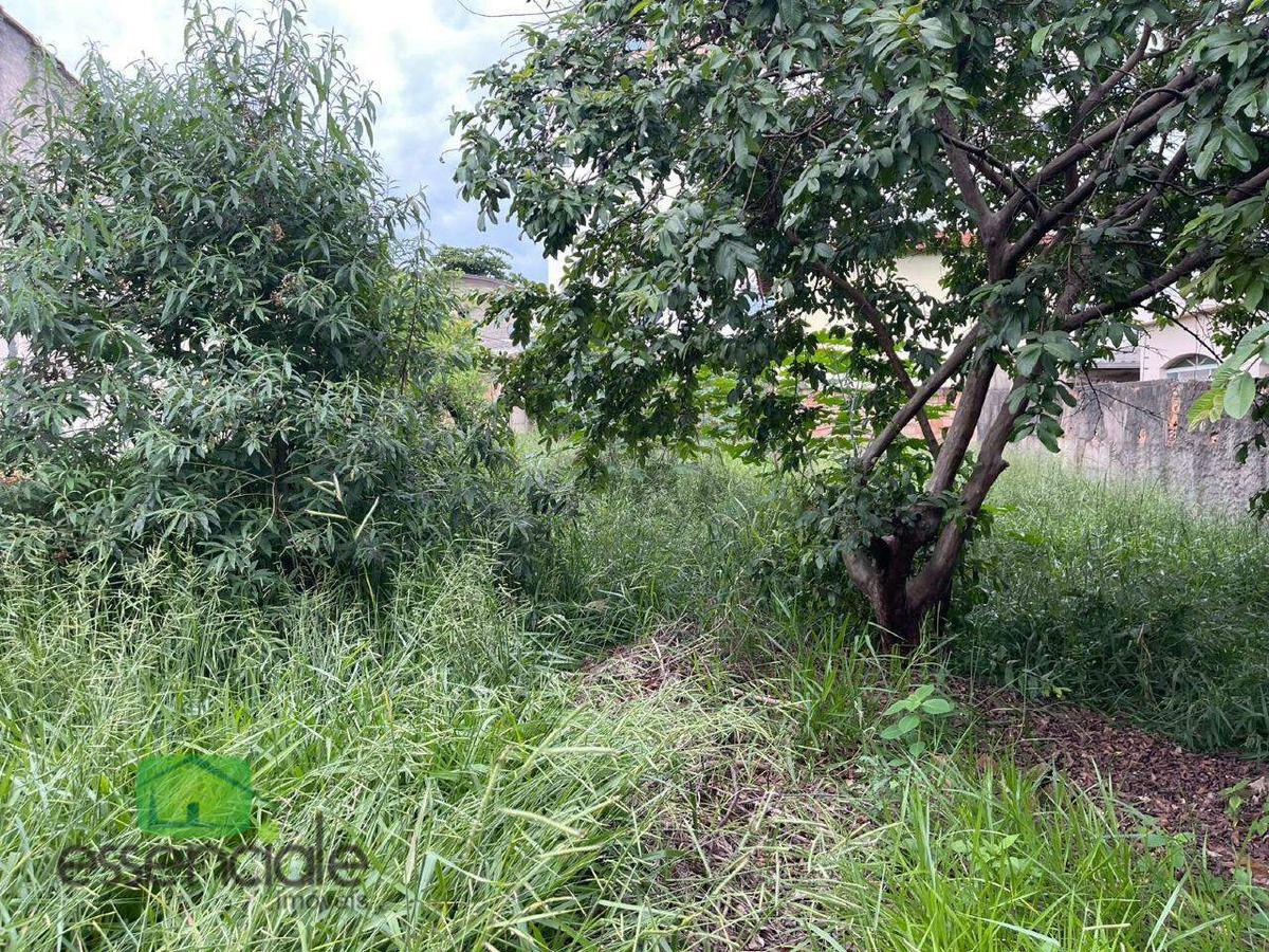 Lote, Novo Eldorado, 0 Quarto, 0 Vaga