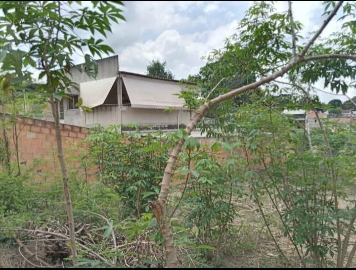Lote, São João, 0 Quarto, 0 Vaga