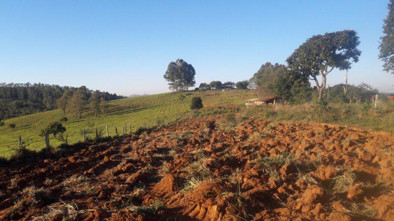 Fazenda, Centro, 0 Quarto, 0 Vaga