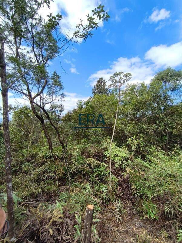 Lote, Parque do Engenho, 0 Quarto, 0 Vaga