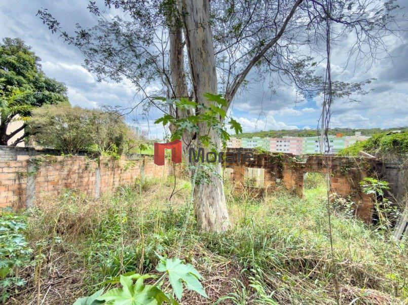 Lote, Liberdade, 0 Quarto, 0 Vaga