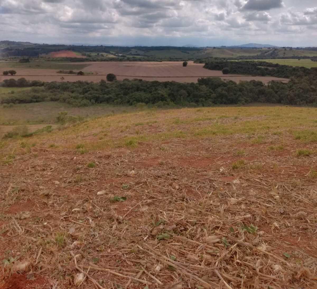 Fazenda, Centro, 0 Quarto, 0 Vaga