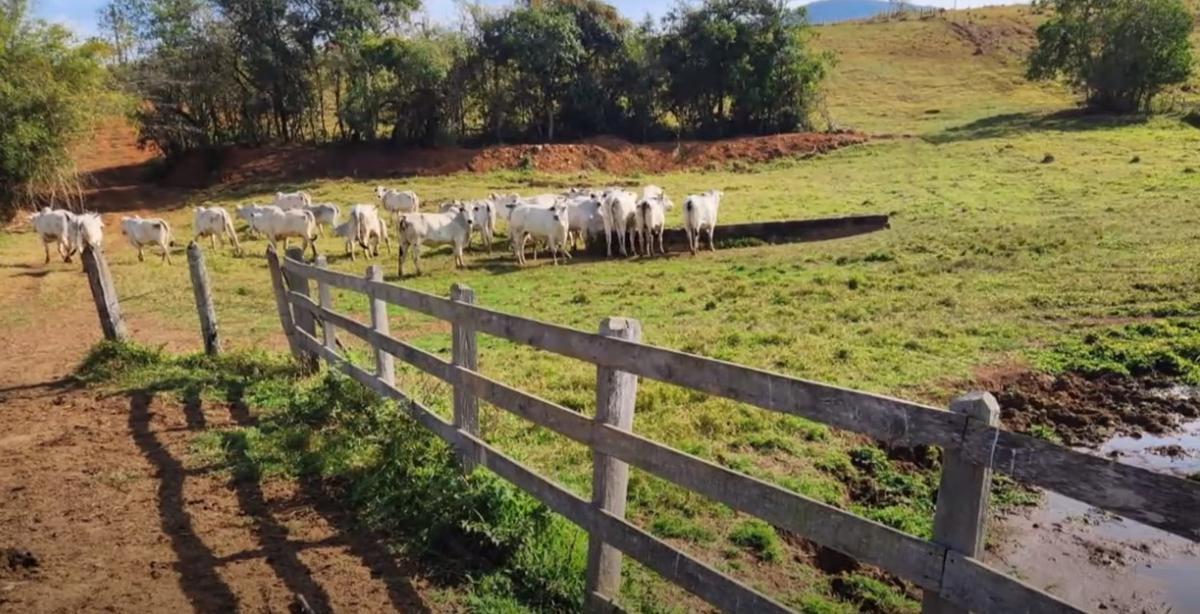 Fazenda, Zona Rural, 3 Quartos, 1 Vaga