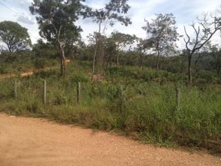 Fazenda, Centro, 0 Quarto, 0 Vaga