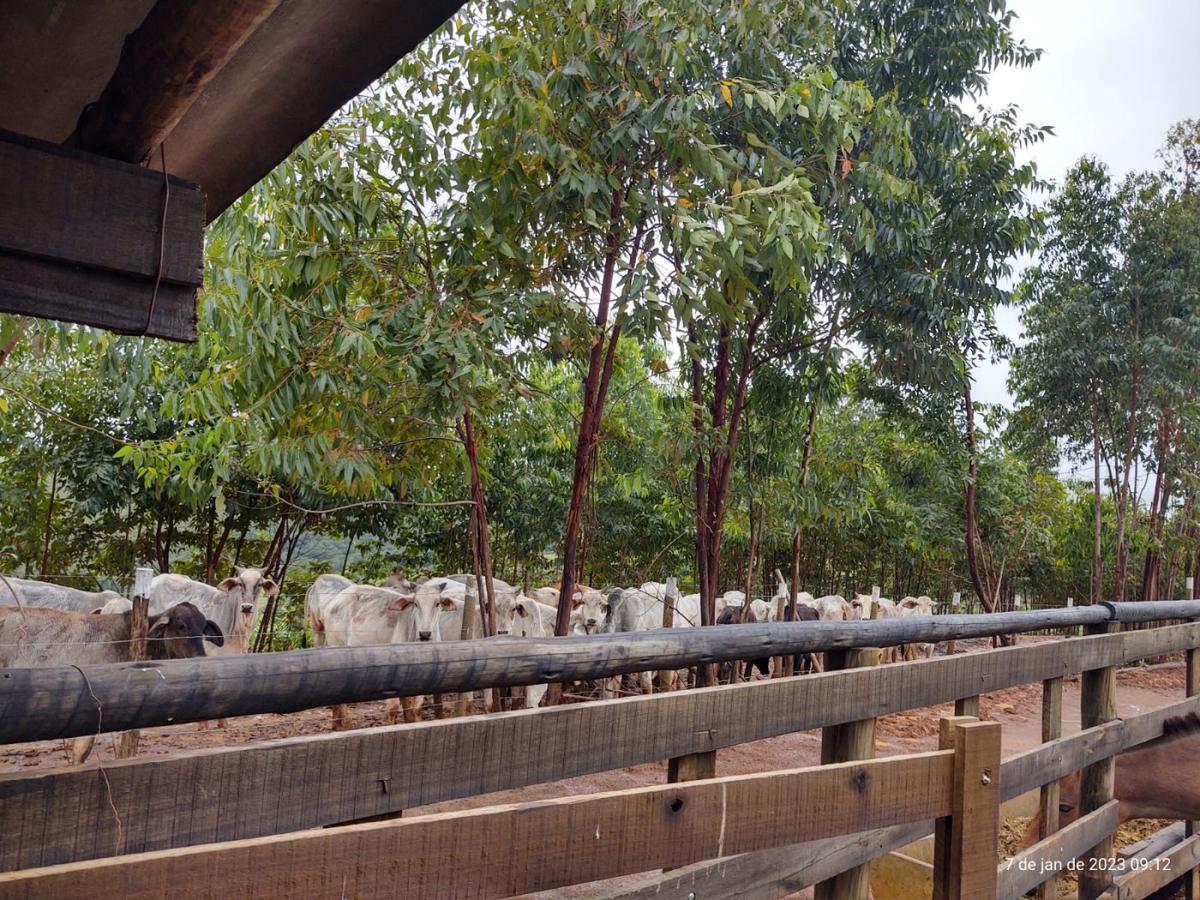 Fazenda, Centro, 3 Quartos, 4 Vagas, 1 Suíte