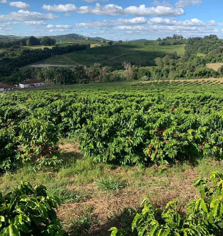 Fazenda, Centro, 2 Quartos, 1 Vaga, 1 Suíte