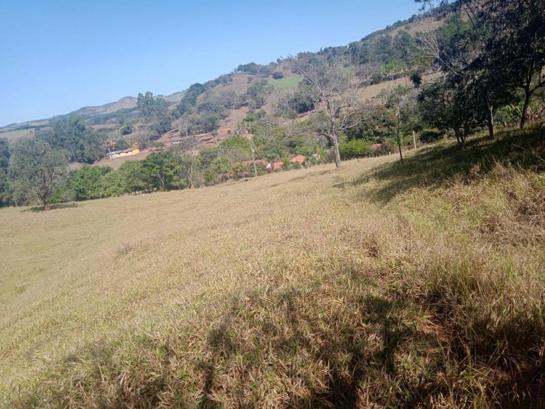 Fazenda, Centro, 0 Quarto, 0 Vaga