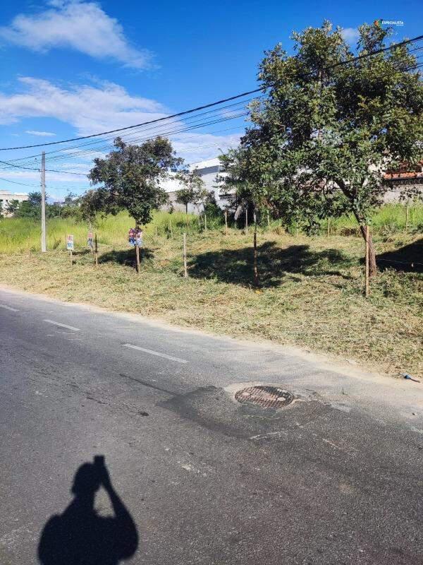 Lote, Novo Centro, 0 Quarto, 0 Vaga