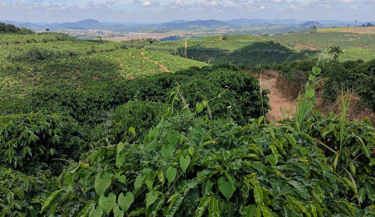 Fazenda, Zona Rural, 0 Quarto, 0 Vaga