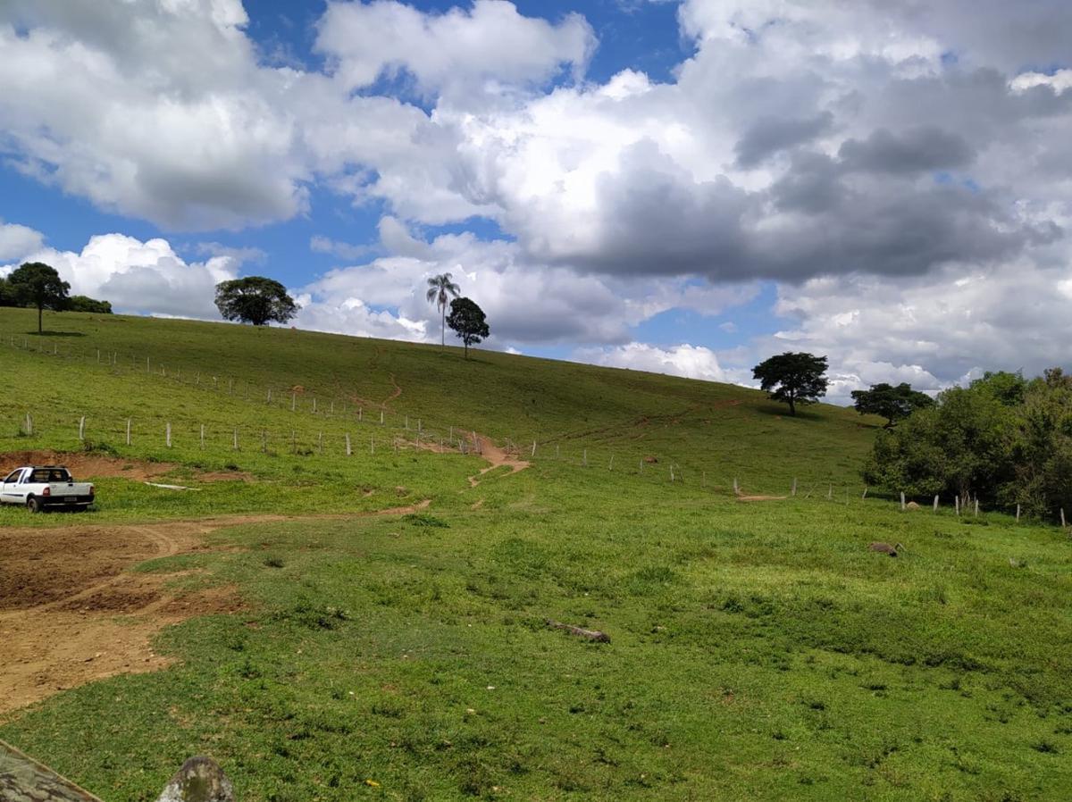 Fazenda, Centro, 1 Quarto, 1 Vaga