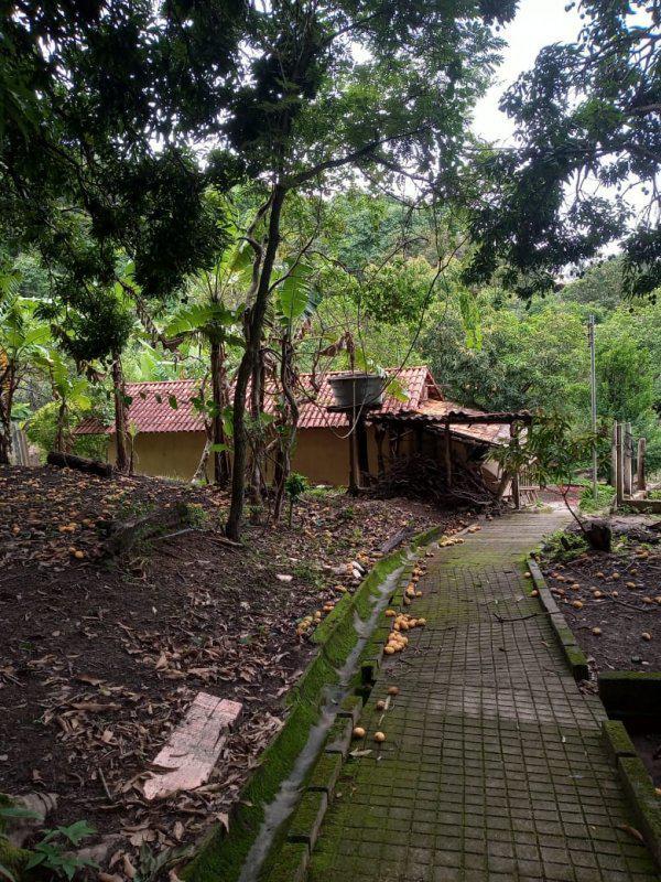 Fazenda, Jardim Rosario, 4 Quartos, 20 Vagas, 1 Suíte