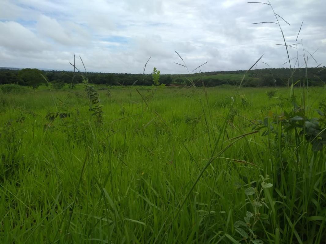 Fazenda, Zona Rural, 0 Quarto, 0 Vaga, 5 Suítes