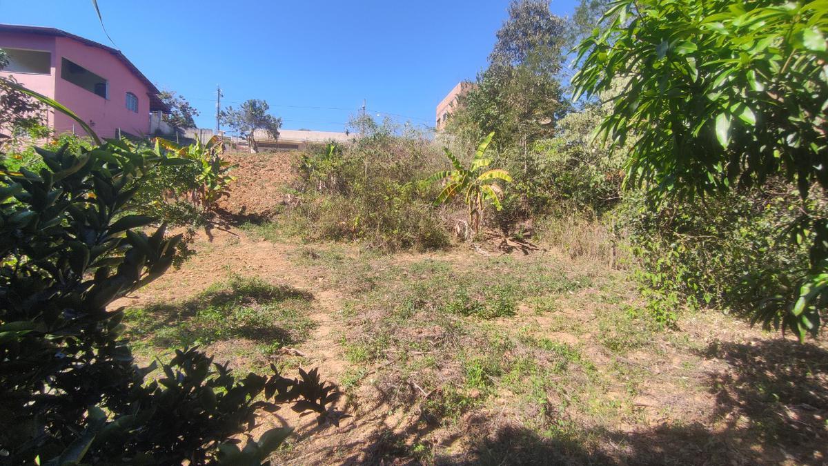 Lote, Centro, 0 Quarto, 0 Vaga