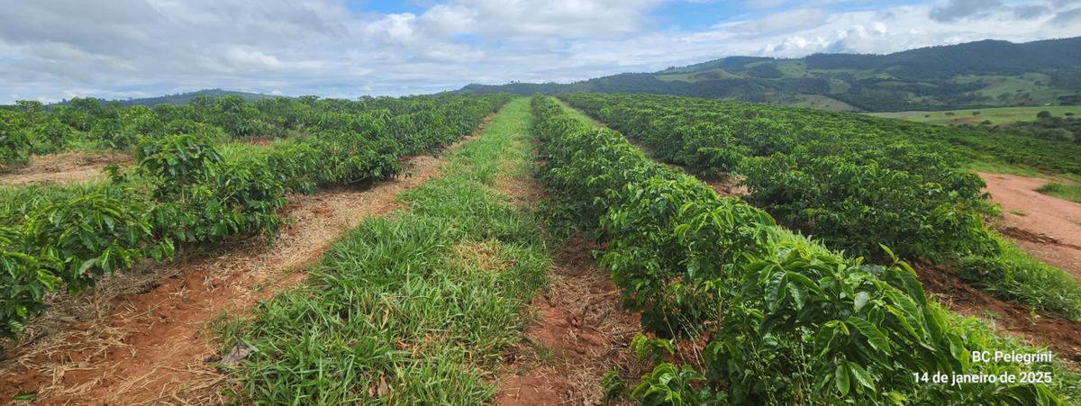 Fazenda, Zona Rural, 1 Quarto, 0 Vaga
