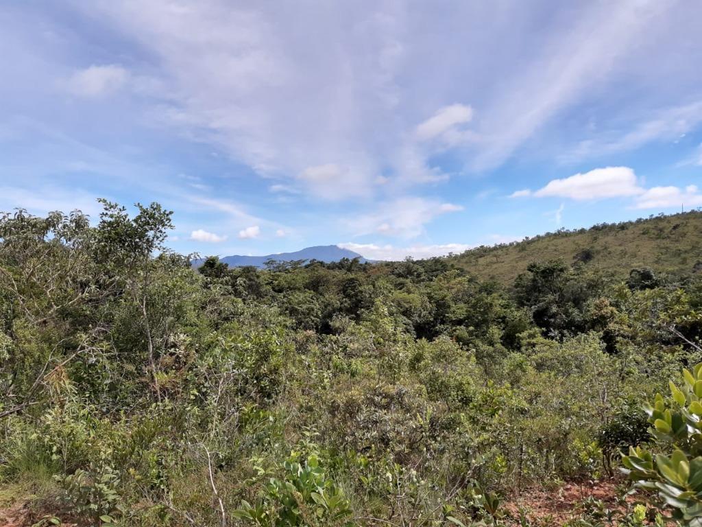 Lote, Morro Vermelho, 0 Quarto, 0 Vaga