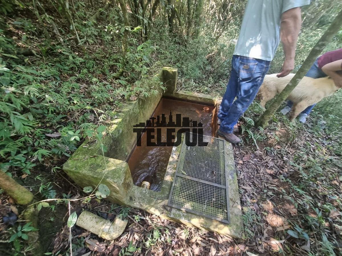 Fazenda, Zona Rural, 0 Quarto, 0 Vaga