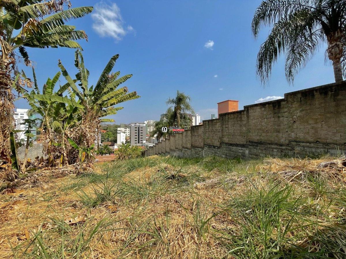 Lote, São Luiz (pampulha), 0 Quarto, 0 Vaga