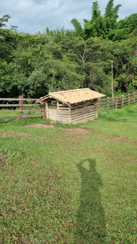 Fazenda, Centro, 3 Quartos, 3 Vagas, 1 Suíte