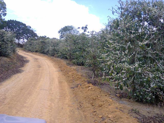 Fazenda, Zona Rural, 4 Quartos, 0 Vaga, 1 Suíte
