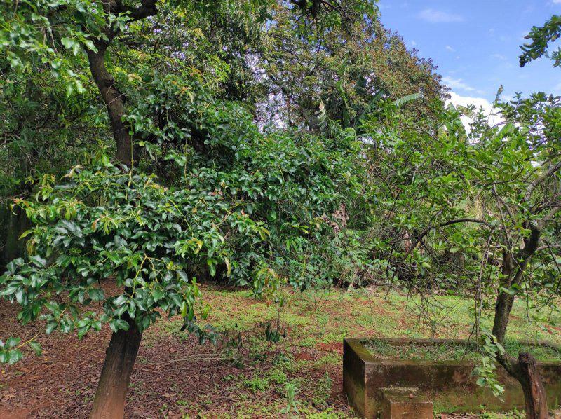 Fazenda, Centro, 6 Quartos, 0 Vaga, 1 Suíte