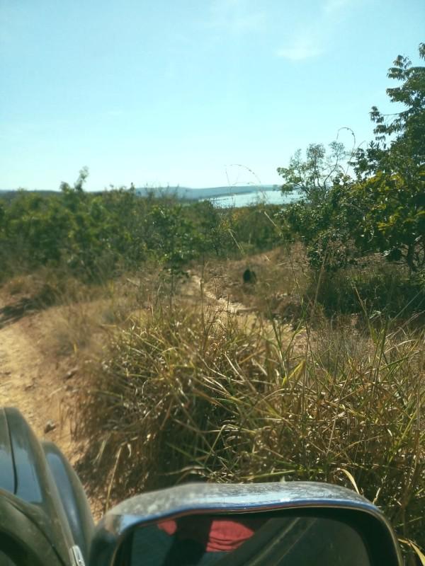 Fazenda, Zona Rural, 0 Quarto, 0 Vaga