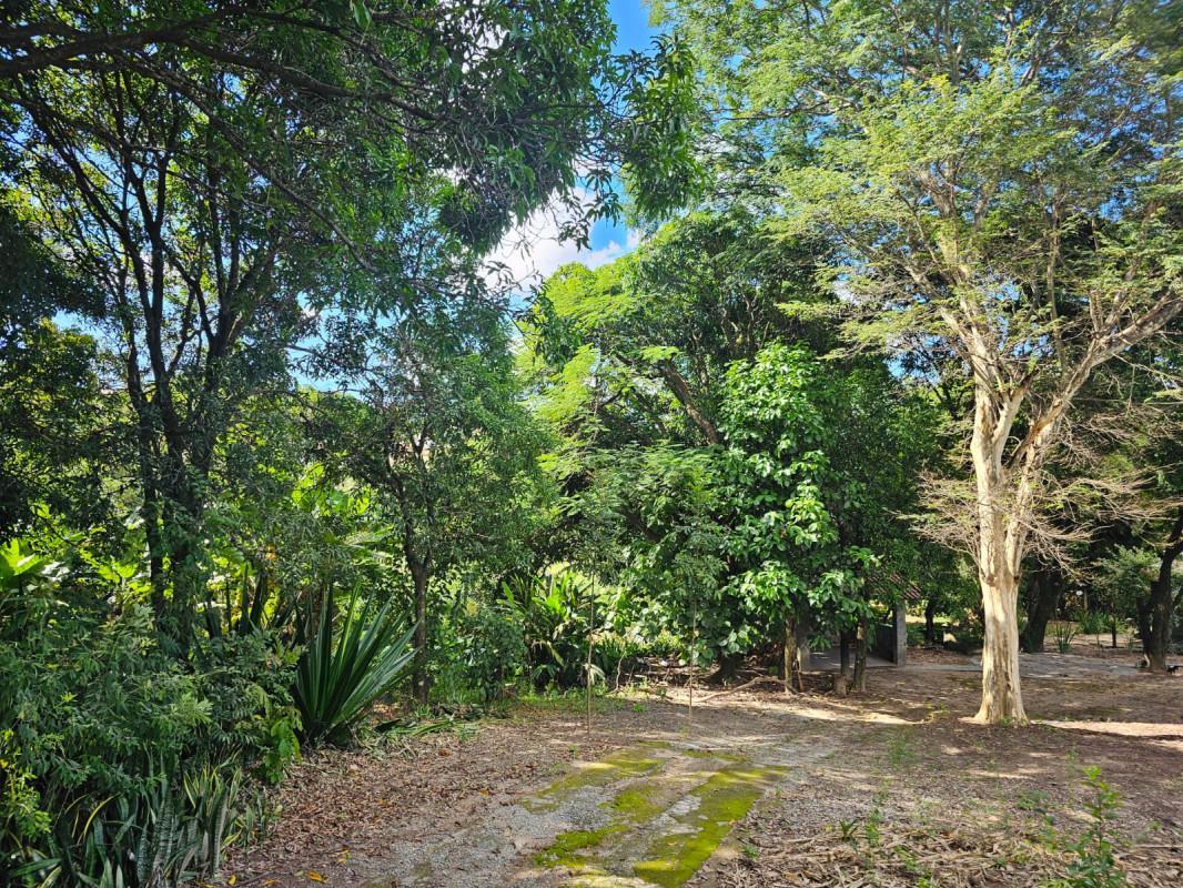 Fazenda, Chácara Cotia, 3 Quartos, 20 Vagas