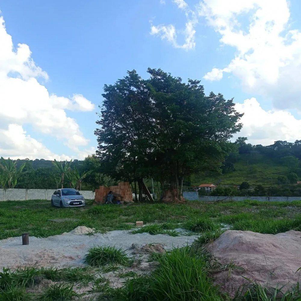 Fazenda, Aranha, 0 Quarto, 0 Vaga